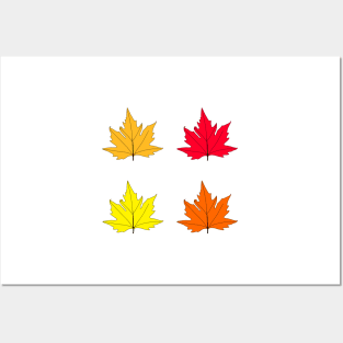 Maple Leaves Posters and Art